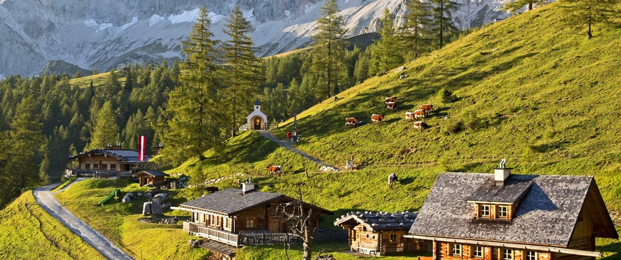 Almlandschaft im Wanderurlaub in Ramsau am Dachstein