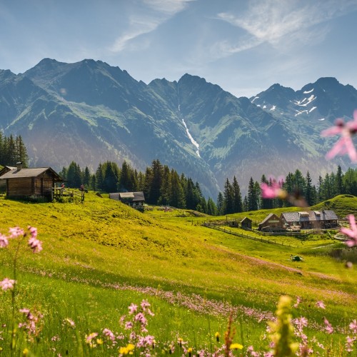 Malerische Almlandschaft 
