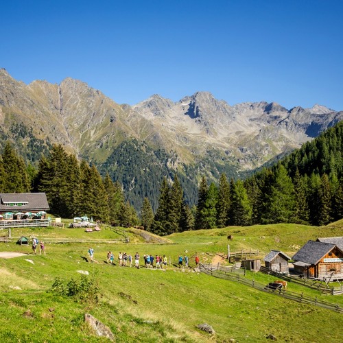 Almlandschaft in Ramsau